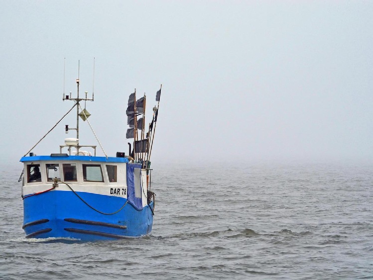 Morze Bałtyckie potrzebuje odpowiedzialnych rybaków i konsumentów